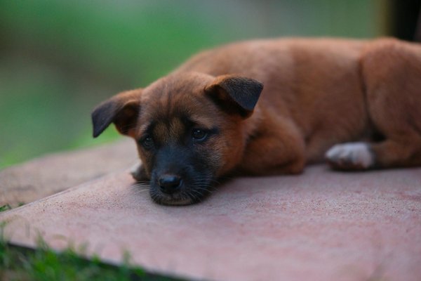 What Are the Key Factors for UK Businesses to Improve Supply Chain Efficiency?